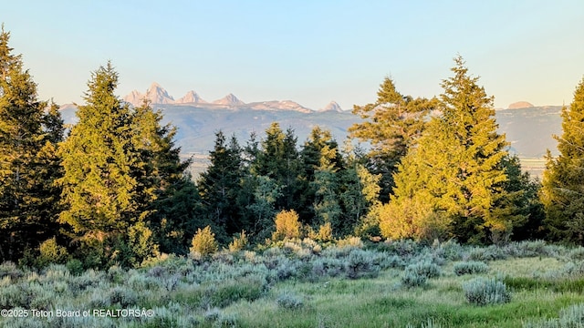 8157 Ripplinger Rd, Driggs, ID 83422 - mountain view