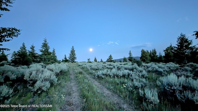 8157 Ripplinger Rd, Driggs, ID 83422 - view of nature
