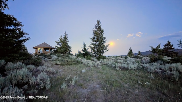 8157 Ripplinger Rd, Driggs, ID 83422 - view of yard