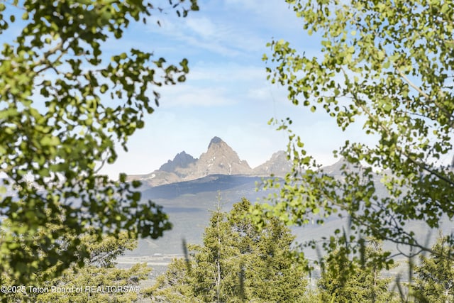 8157 Ripplinger Rd, Driggs, ID 83422 - mountain view