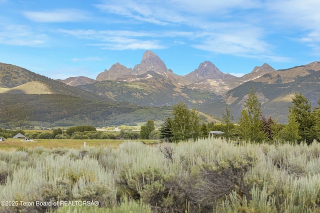 8157 Ripplinger Rd, Driggs, ID 83422 - view of mountain background