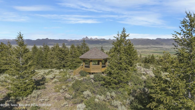 8157 Ripplinger Rd, Driggs, ID 83422 - view of mountain backdrop