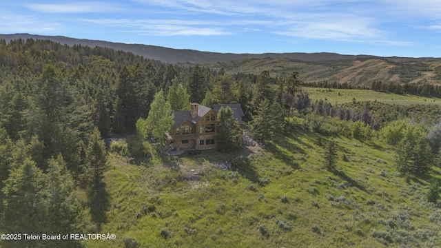8157 Ripplinger Rd, Driggs, ID 83422 - aerial overview of property's location featuring a forest and mountains