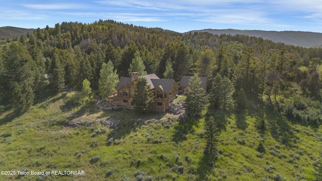 8157 Ripplinger Rd, Driggs, ID 83422 - view of mountain backdrop featuring a heavily wooded area