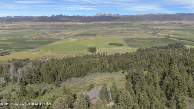 8157 Ripplinger Rd, Driggs, ID 83422 - aerial view of property's location with mountains