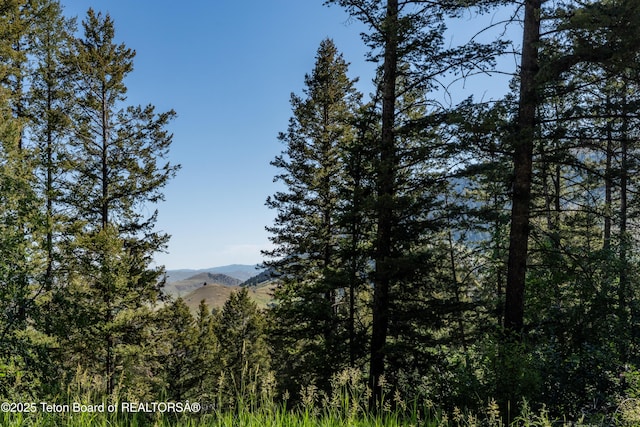 940 Snow King Dr, Jackson, WY 83001 - photo 2