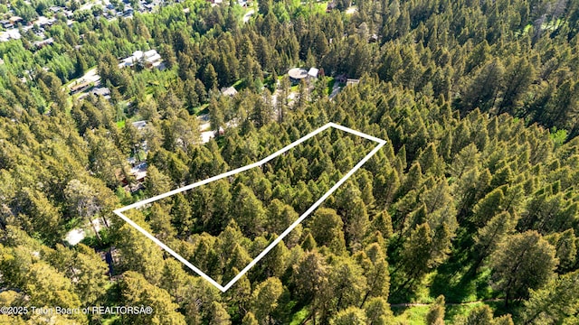 940 Snow King Dr, Jackson, WY 83001 - photo 11