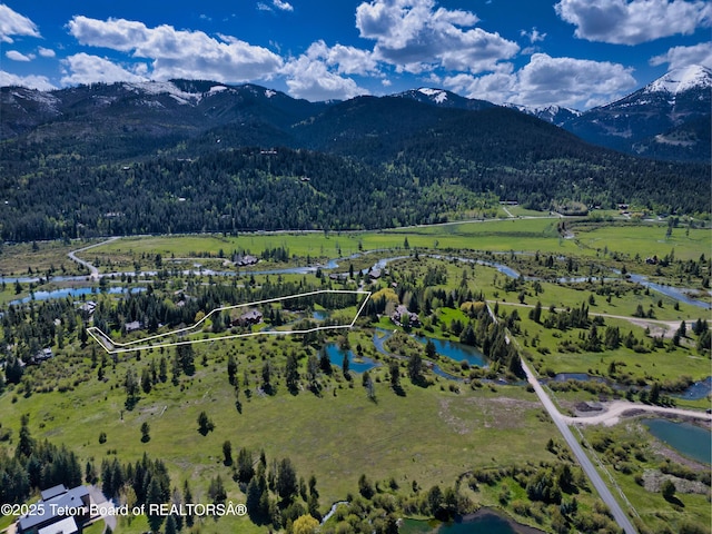 590 S Sandhill Crane Rd, Wilson, WY 83014 - bird's eye view of a water and mountain view