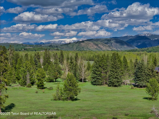 590 S Sandhill Crane Rd, Wilson, WY 83014 - view of mountain backdrop with a heavily wooded area