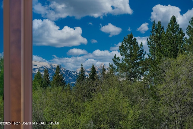 590 S Sandhill Crane Rd, Wilson, WY 83014 - view of mountain backdrop
