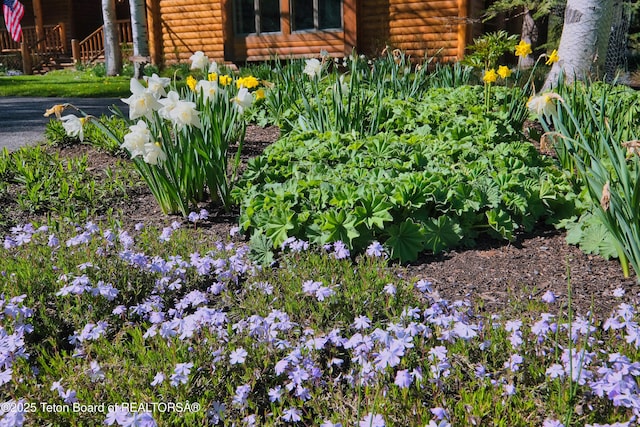 590 S Sandhill Crane Rd, Wilson, WY 83014 - exterior view of faux log siding and a vegetable garden