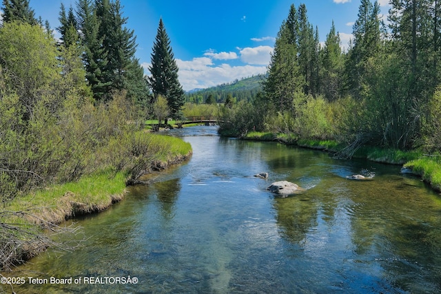 590 S Sandhill Crane Rd, Wilson, WY 83014 - water view featuring a heavily wooded area