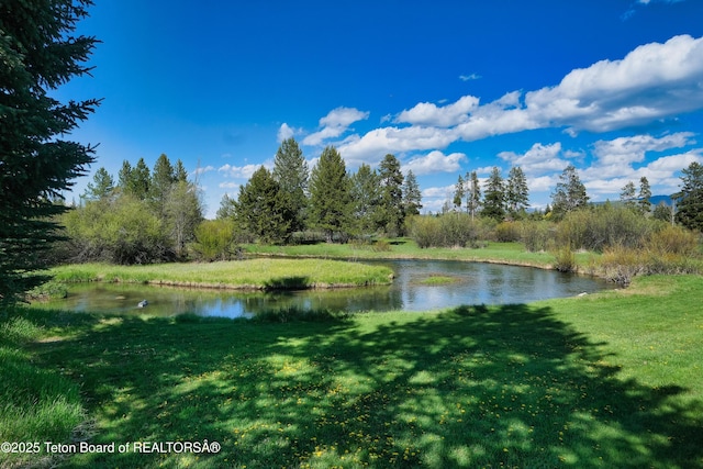 590 S Sandhill Crane Rd, Wilson, WY 83014 - water view