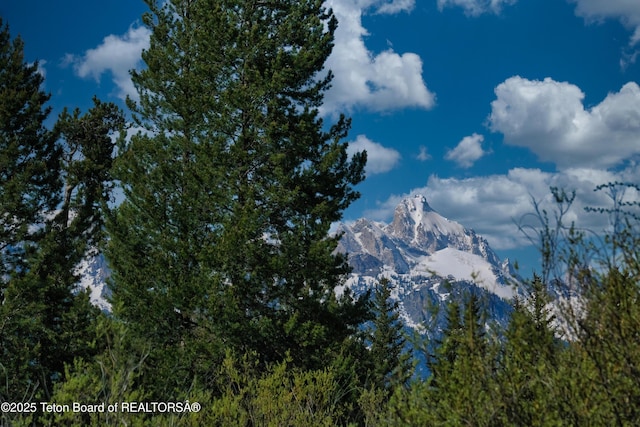 590 S Sandhill Crane Rd, Wilson, WY 83014 - view of mountain backdrop