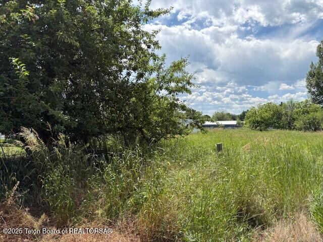 208 E Montana St, Sheridan, WY 82801 - photo 10