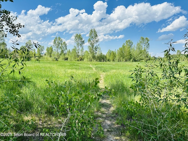 198 Cattail Rd, Victor, ID 83455