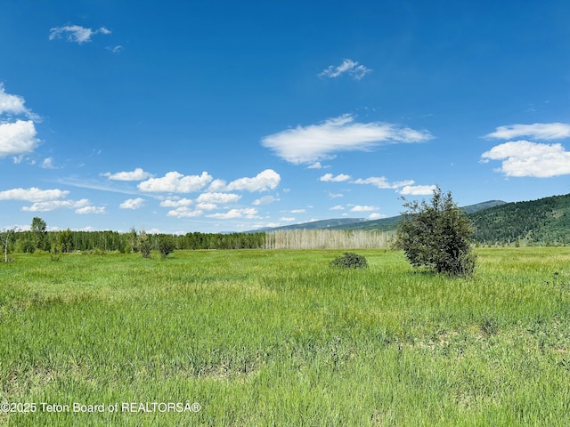 198 Cattail Rd, Victor, ID 83455