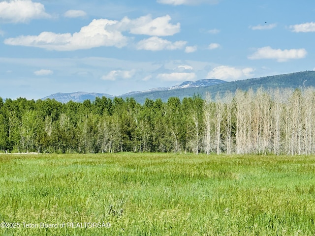 198 Cattail Rd, Victor, ID 83455