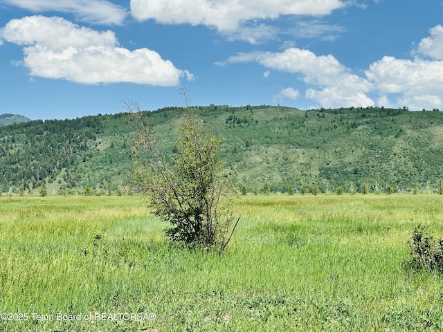 198 Cattail Rd, Victor, ID 83455