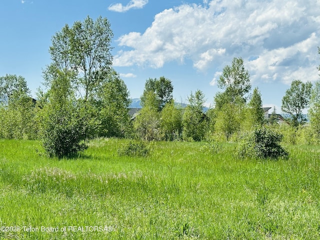 198 Cattail Rd, Victor, ID 83455