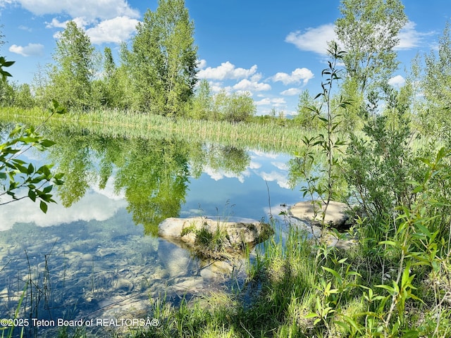 198 Cattail Rd, Victor, ID 83455