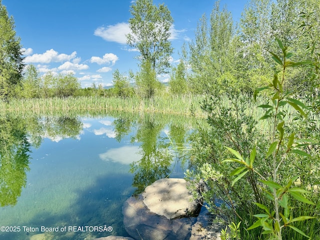 198 Cattail Rd, Victor, ID 83455