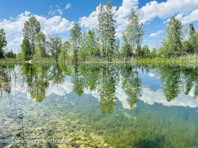 198 Cattail Rd, Victor, ID 83455