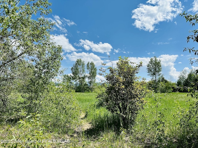 198 Cattail Rd, Victor, ID 83455