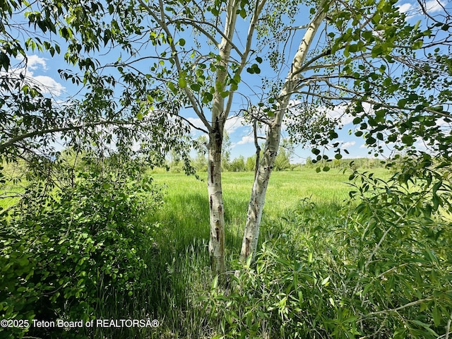 198 Cattail Rd, Victor, ID 83455