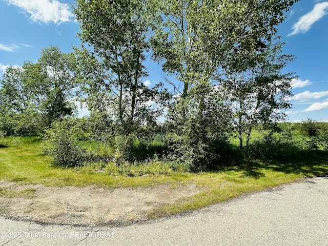 198 Cattail Rd, Victor, ID 83455