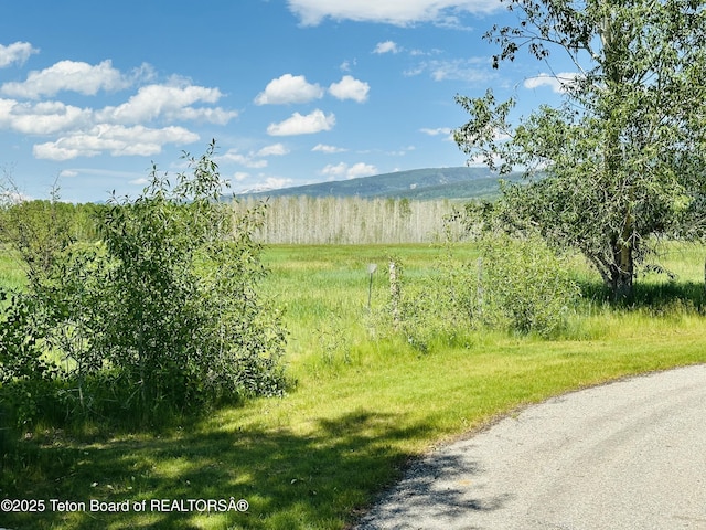 198 Cattail Rd, Victor, ID 83455