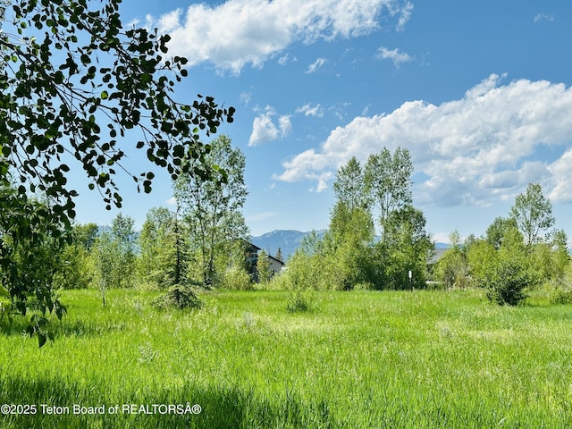 198 Cattail Rd, Victor, ID 83455
