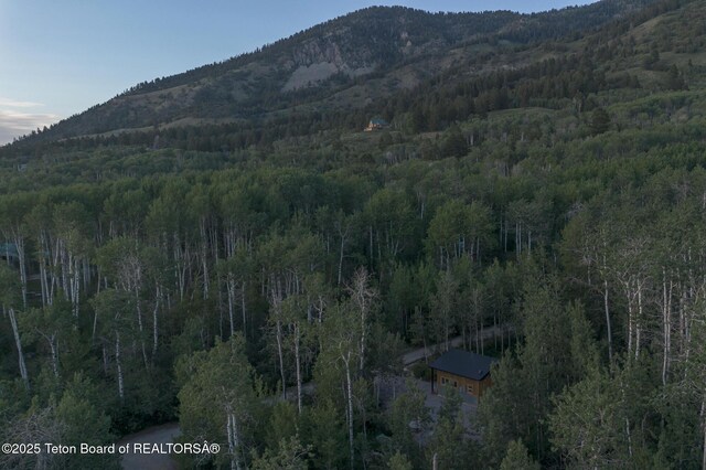 66 Elkhorn Dr, Thayne, WY 83127 - view of mountain background featuring a heavily wooded area