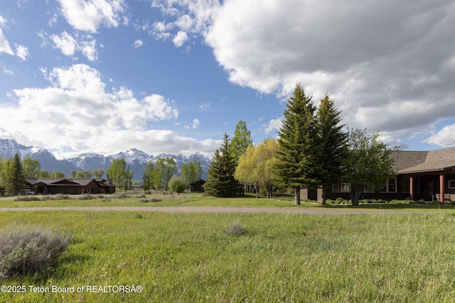 6790 N Timothy Rd, Jackson, WY 83001 - view of yard featuring a mountain view