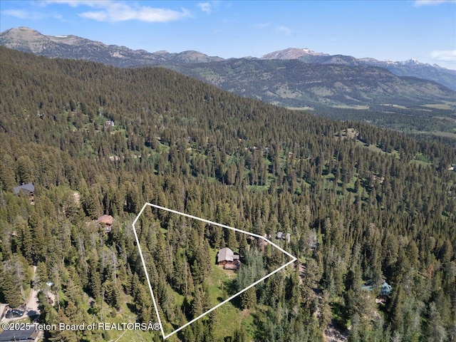 6740 W Lupine Trl, Wilson, WY 83014 - photo 18