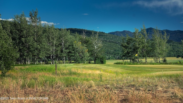 391 Desert Fox Ln, Victor, ID 83455