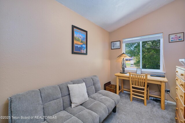 1245 Eagle Ridge Rd, Victor, ID 83455 - photo 14