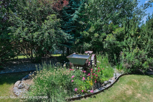 1245 Eagle Ridge Rd, Victor, ID 83455 - photo 34