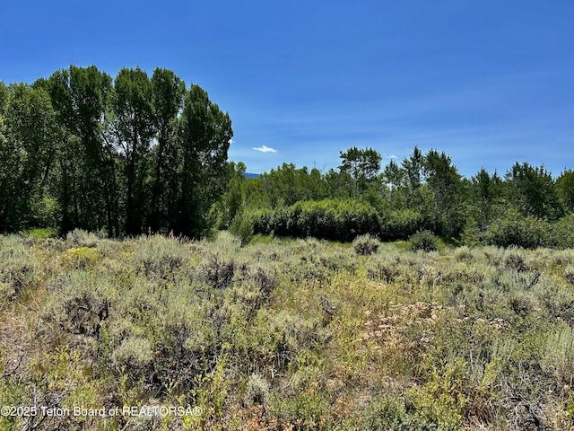 L3 E Ski Hill Rd, Driggs, ID 83422 - photo 4