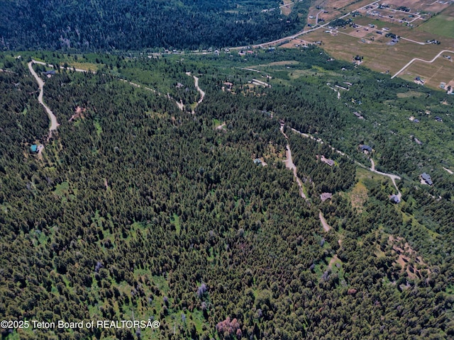 3550 Sorensen Creek Dr, Victor, ID 83455 - photo 10