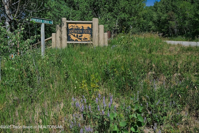 3550 Sorensen Creek Dr, Victor, ID 83455 - photo 29