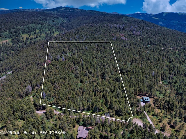 3550 Sorensen Creek Dr, Victor, ID 83455 - photo 11