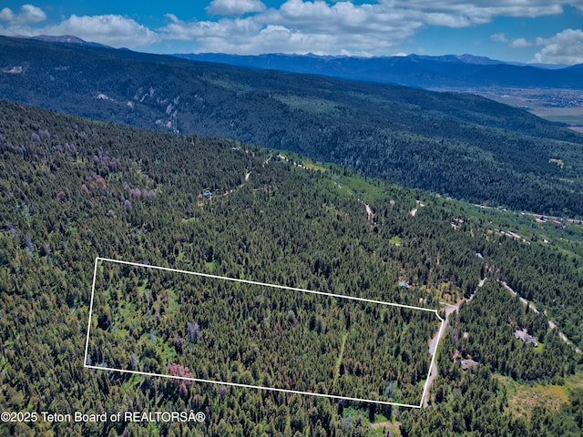 3550 Sorensen Creek Dr, Victor, ID 83455 - photo 13