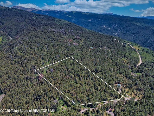 3550 Sorensen Creek Dr, Victor, ID 83455 - photo 14