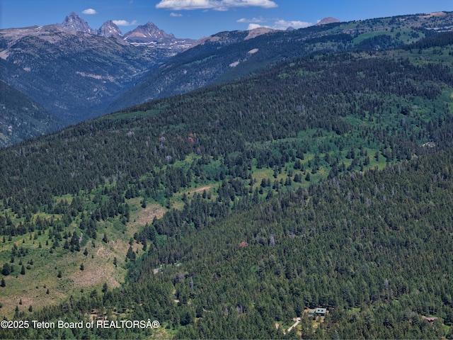 3550 Sorensen Creek Dr, Victor, ID 83455 - photo 15