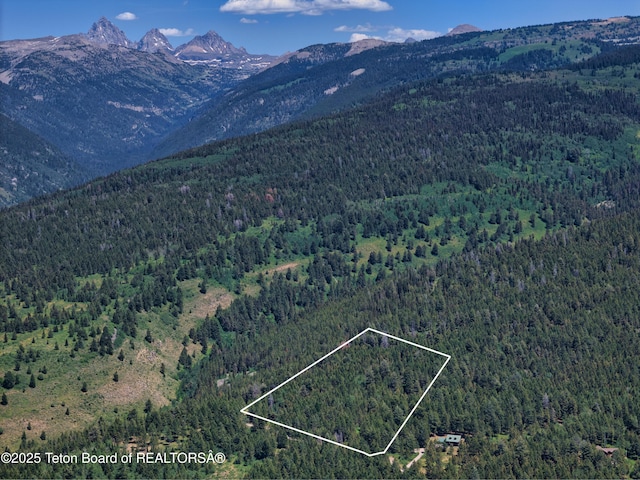 3550 Sorensen Creek Dr, Victor, ID 83455 - photo 1