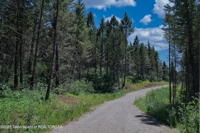 3550 Sorensen Creek Dr, Victor, ID 83455 - photo 2