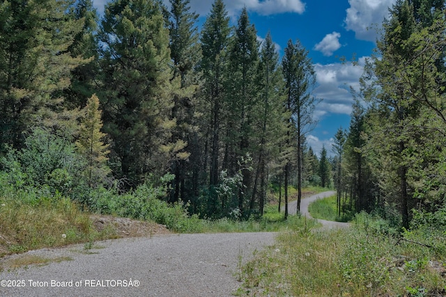 3550 Sorensen Creek Dr, Victor, ID 83455 - photo 19
