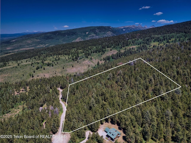 3550 Sorensen Creek Dr, Victor, ID 83455 - photo 8