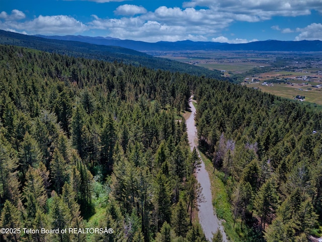 3550 Sorensen Creek Dr, Victor, ID 83455 - photo 20